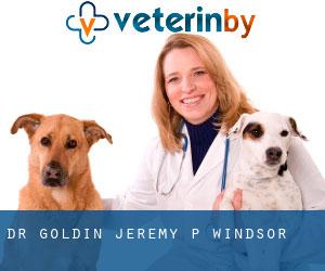 Dr Goldin Jeremy P (Windsor)