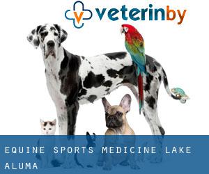 Equine Sports Medicine (Lake Aluma)