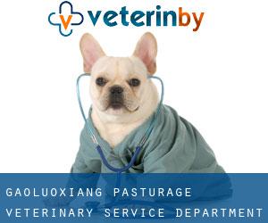 Gaoluoxiang Pasturage Veterinary Service Department