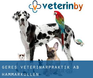 Gere's Veterinärpraktik AB (Hammarkullen)