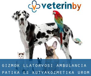 GIZMÓK Állatorvosi Ambulancia, Patika és Kutyakozmetika (Üröm)