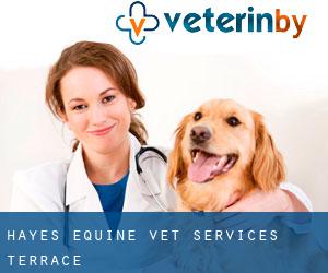Hayes Equine Vet Services (Terrace)