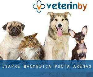 Isapre Banmedica (Punta Arenas)