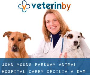 John Young Parkway Animal Hospital: Carey Cecilia A DVM (Fairvilla)