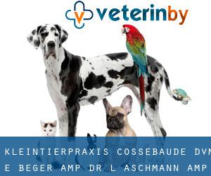 Kleintierpraxis Cossebaude DVM E. Beger & Dr. L. Aschmann &