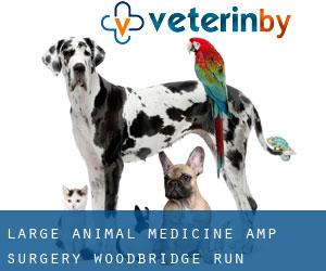 Large Animal Medicine & Surgery (Woodbridge Run)