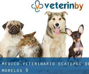 MEDICO VETERINARIO (Ecatepec de Morelos) #9