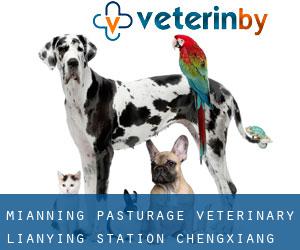 Mianning Pasturage Veterinary Lianying Station (Chengxiang)