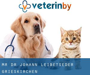 Mr. Dr. Johann Leibetseder (Grieskirchen)