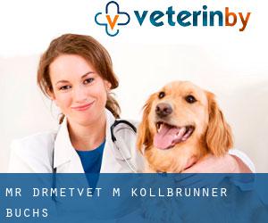 Mr. Dr.met.vet. M. Kollbrunner (Buchs)