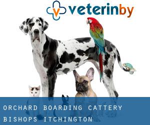 Orchard Boarding Cattery (Bishops Itchington)