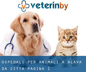 ospedali per animali a Alava da città - pagina 1