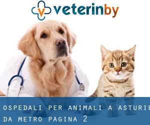ospedali per animali a Asturie da metro - pagina 2