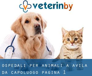 ospedali per animali a Avila da capoluogo - pagina 1