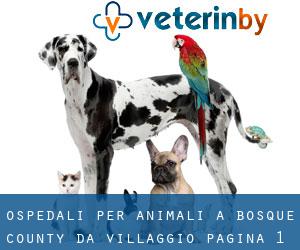 ospedali per animali a Bosque County da villaggio - pagina 1