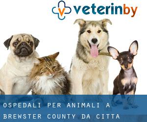 ospedali per animali a Brewster County da città - pagina 1