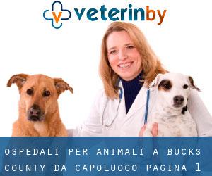 ospedali per animali a Bucks County da capoluogo - pagina 1