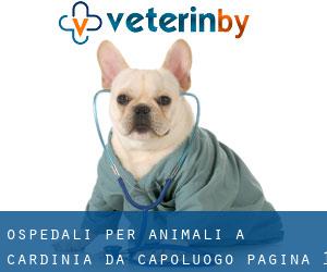 ospedali per animali a Cardinia da capoluogo - pagina 1