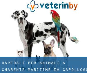 ospedali per animali a Charente-Maritime da capoluogo - pagina 2