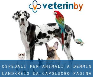 ospedali per animali a Demmin Landkreis da capoluogo - pagina 2