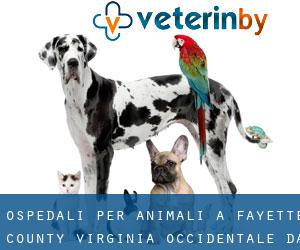 ospedali per animali a Fayette County Virginia Occidentale da capoluogo - pagina 1