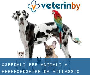 ospedali per animali a Herefordshire da villaggio - pagina 1