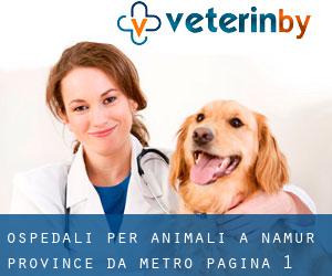 ospedali per animali a Namur Province da metro - pagina 1