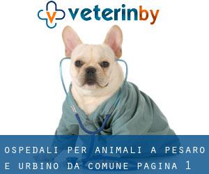 ospedali per animali a Pesaro e Urbino da comune - pagina 1