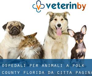 ospedali per animali a Polk County Florida da città - pagina 1