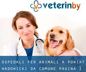 ospedali per animali a Powiat wadowicki da comune - pagina 1
