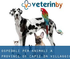 ospedali per animali a Province of Capiz da villaggio - pagina 1
