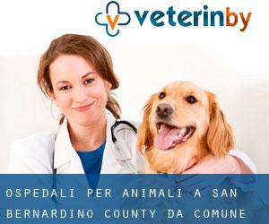 ospedali per animali a San Bernardino County da comune - pagina 3