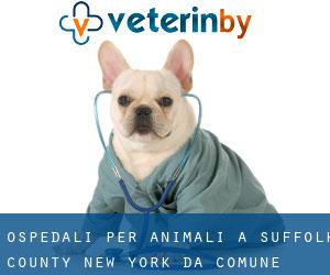 ospedali per animali a Suffolk County New York da comune - pagina 2