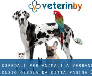 ospedali per animali a Verbano-Cusio-Ossola da città - pagina 2
