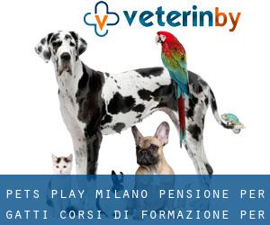 Pet's Play! Milano - Pensione per gatti - Corsi di formazione per (Assago)