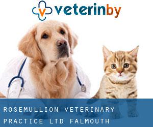 Rosemullion Veterinary Practice Ltd (Falmouth)
