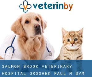 Salmon Brook Veterinary Hospital: Groshek Paul M DVM (Chatsworth Village)