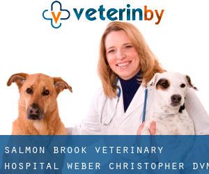 Salmon Brook Veterinary Hospital: Weber Christopher DVM (Chatsworth Village)