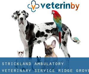 Strickland Ambulatory Veterinary Service (Ridge Grove)