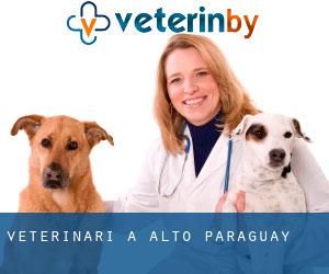 veterinari a Alto Paraguay