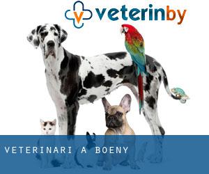 veterinari a Boeny