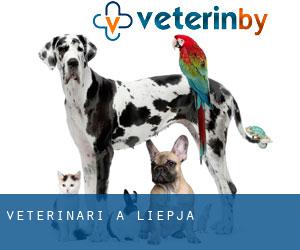 veterinari a Liepāja veterinari a Liepāja