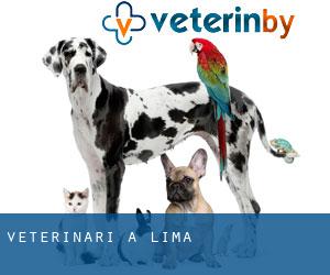 veterinari a Lima veterinari a Lima