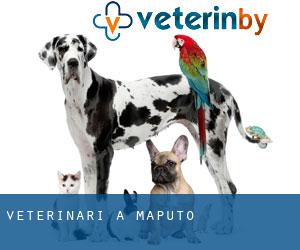 veterinari a Maputo