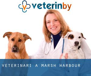 veterinari a Marsh Harbour