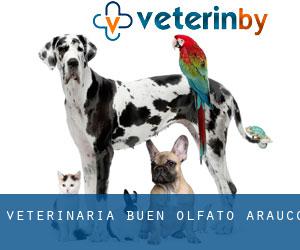 Veterinaria Buen Olfato (Arauco)
