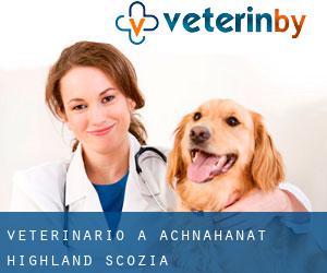 veterinario a Achnahanat (Highland, Scozia)