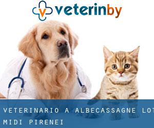 veterinario a Albecassagne (Lot, Midi-Pirenei)