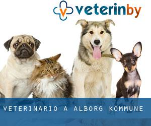 veterinario a Ålborg Kommune
