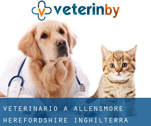 veterinario a Allensmore (Herefordshire, Inghilterra)